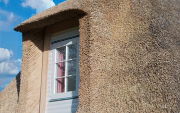 Gordonsburgh thatch roof disadvantages