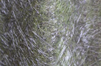 Gordonsburgh fibreglass roof work